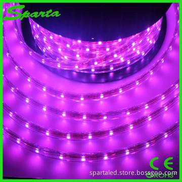 220v 5050 SMD LED Strip Light RGB 30leds/M